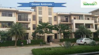 Call 09953592848 for 3 bhk Apartments of Omaxe Ambrosia