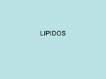 LIPIDOS