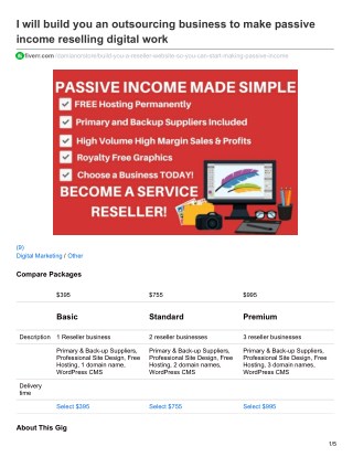 I Will Build You An Outsourcing Business To Make Passive Income Reselling Digital Work