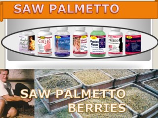 Saw Palmetto Shampoo for Hair Care to Prevent Hair Loss