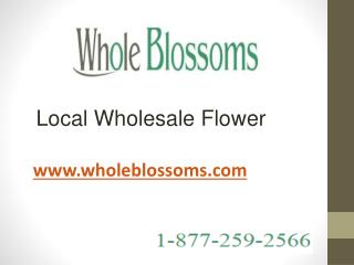 Local Wholesale Flower - www.wholeblossoms.com