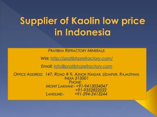 Supplier of Kaolin low price in Indonesia