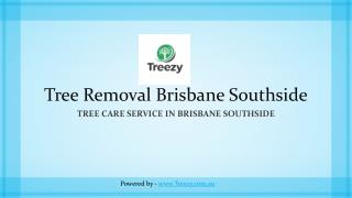 Tree Removal Brisbane Southside