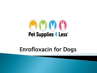 Enrofloxacin for Dogs