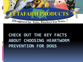 Check Out the Key Facts about Choosing Heartworm Prevention for Dogs