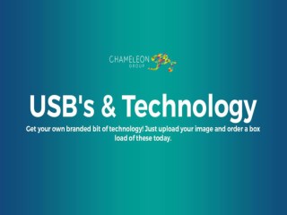 USB & Technology Hervey Bay - Chameleon Print