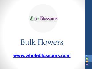 Bulk Flowers - www.wholeblossoms.com