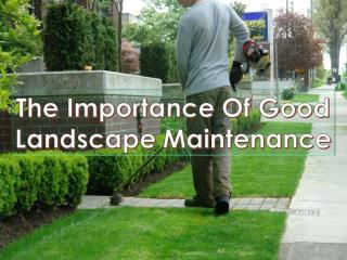The Importance Of Good Landscape Maintenance