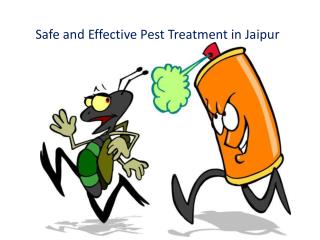 Safe and Effective Pest Treatment in Jaipur