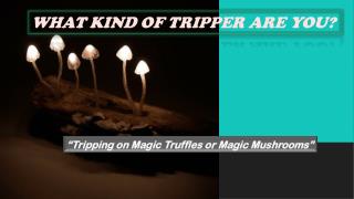 Tripping on Magic Mushrooms or Magic Truffles