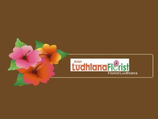 Florist Ludhiana