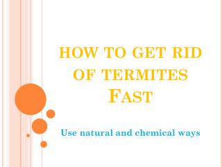 How to get rid of termites quickly