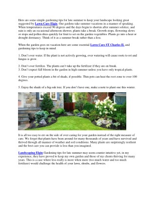 Late Summer Lawn & Garden Tips