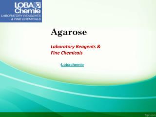 Laboratory Chemicals-Agarose