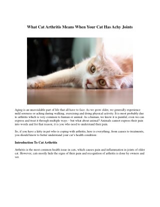 What Cat Arthritis Means When Your Cat Has Achy Joints