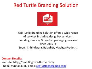 Brochure Design Company In Seoni, Madhya Pradesh- Red Turtle Branding Solution