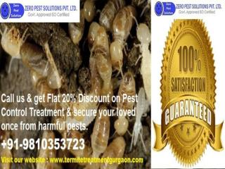 Hurry Up Get 20% Discount Termite Treatment Gurgaon | Outstanding Service