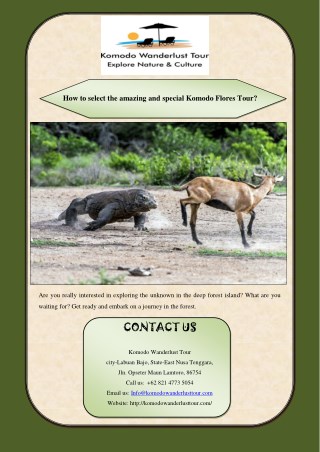 How to select the amazing and special Komodo Flores Tour