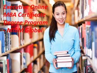 Executive Online MBA Certificate Degree Program parts of life individuals from MIBM GLOBAL