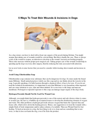 5 Ways To Treat Skin Wounds & Incisions in Dogs