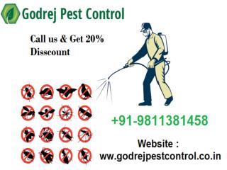Pest Control Gurgaon - Get 20% Discount | Free Inspection