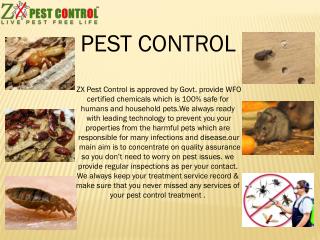ZX Pest Control : A leading govt. certified Pest Control Company in Noida.