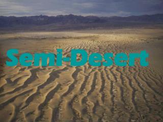 Semi-Desert