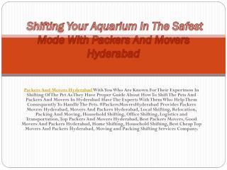 Shifting Your Aquarium In The Safest Mode With Packers And Movers Hyderabad