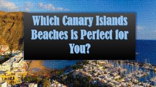 Which Canary Islands Beaches is Perfect for You?