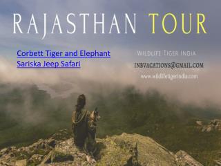 Corbett Tiger and Elephant Sariska Jeep Safari