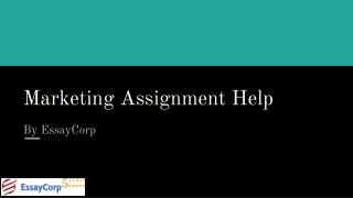 Marketing assignment help | Assignment on marketing plan