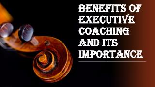 Plenty of Reasons Why You Should be get Executive Coaching