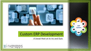 Custom ERP Development – A Sneak Peek at its Ins and Outs