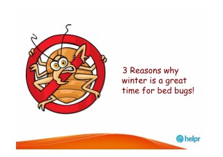 3 Reasons why winter is a great time for bed bugs!