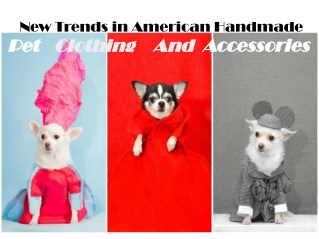 Top Trends in Handmade Pet Clothes & Accessories in America