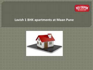 1 BHK Flats in Maan Pune