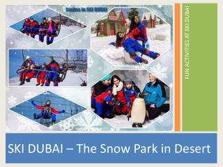 Ski Dubai - Indoor Ski Resort.