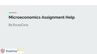 Microeconomics assignment help |microeconomics Homework help | Examples | EssayCorp