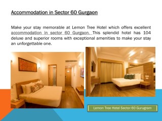 Accommodation in Sector 60 Gurgaon