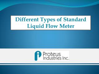 Standard Liquid FlowMeter - Proteus Industries