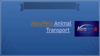 Animal Transport Service At - aeropets.