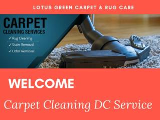 Carpet Cleaning DC