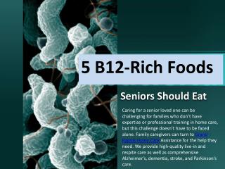 5 B12-Rich Foods Seniors Should Eat