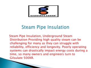 Steam Pipe Insulation