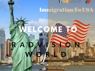 Radvision ltd – Immigration Consultants