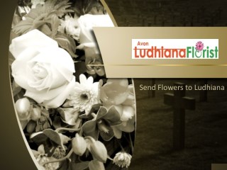 Ludhiana Florist