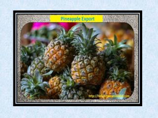 Importance of Pineapple in Your Diet