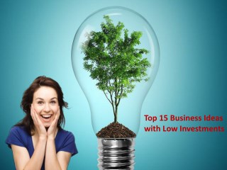 Top 15 Exciting Business Ideas with Low Investments