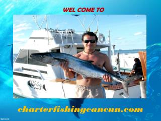 Cancun Sport Fishing and Deep Sea Fishing Tours - Cancun Fishing Charters