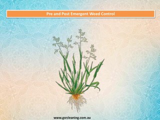 Pre and Post Emergent Weed Control